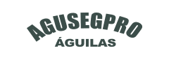 Diseño de páginas web en Guayaquil Ecuador Logo Agusegpro